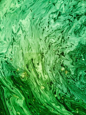 Yeşil suların açtığı su birikintisinin en üst görüntüsü..