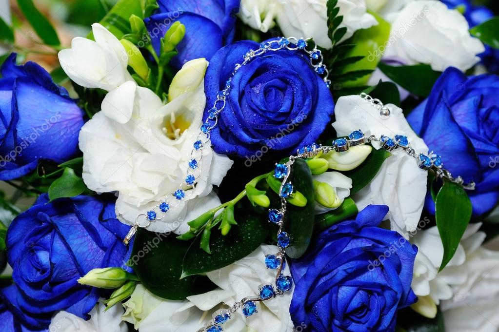 Rosa azul fotos de stock, imágenes de Rosa azul sin royalties |  Depositphotos