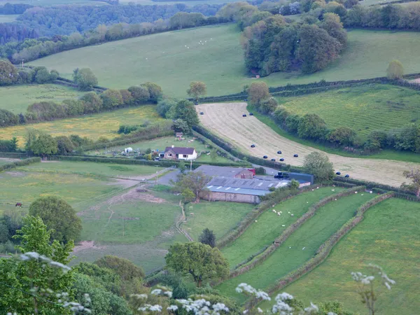 Vallée du Leper — Photo