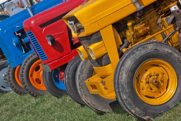 Tracteur Vintage line up — Photo