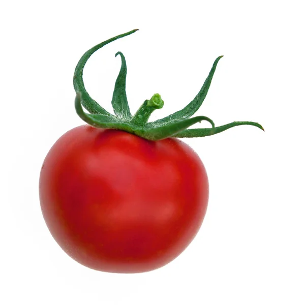 Yksittäinen tomaatti — kuvapankkivalokuva