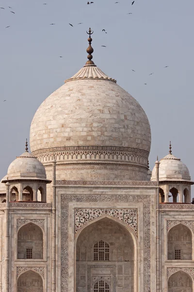Oiseaux tournant autour du Taj Mahal — Photo