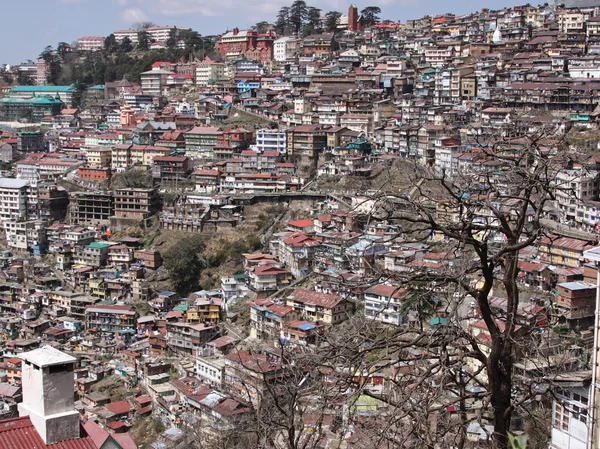 Résidentiel Shimla, Inde — Photo