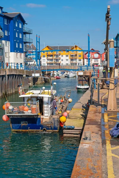 Exmouth England März 2019 Lokale Fischerbootverladung Kai — Stockfoto