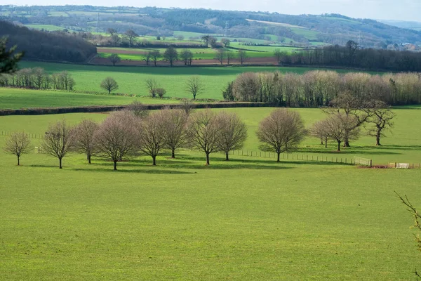 英国の春のシーズンの初めに東デヴォン地方の風景の豊かな農地 — ストック写真