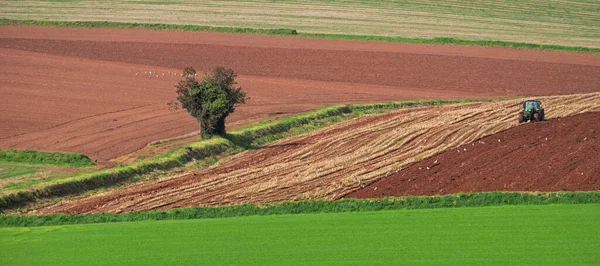 Landscape View Stubble Being Turned Earth Devon Farm Harvest Illegal — Stock Photo, Image