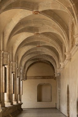 Santo Domingo Tapınağı, Oaxaca, Meksika
