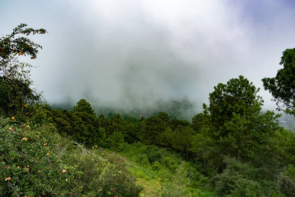 Vista Niebla Sobre Las Montañas Pueblo Las Animas Oaxaca — Foto de Stock