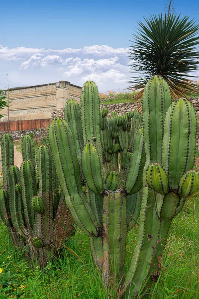 Mitla Ölü Şehir Oaxaca Meksika Daki Arkeolojik Bölge — Stok fotoğraf