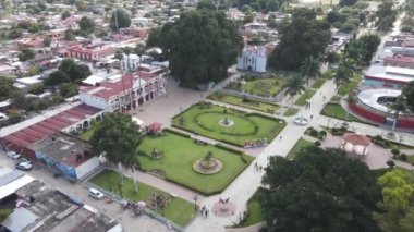 Santa Mara del Tule İnsansız Hava Aracı 'ndan antik ağaç manzarası