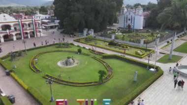 Santa Mara del Tule İnsansız Hava Aracı 'ndan antik ağaç manzarası