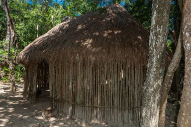 Meksika ormanlarında antik Maya palapası