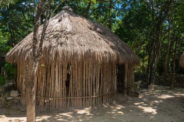 Meksika ormanlarında antik Maya palapası