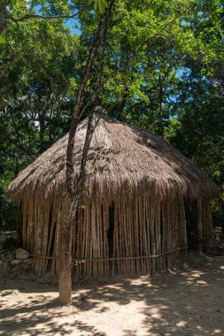 Meksika ormanlarında antik Maya palapası