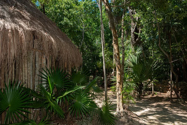 Antigua Palapa Maya Selva Mexicana — Foto de Stock