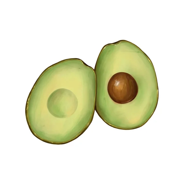 Avocado Skizze Raster Illustration Isoliert — Stockfoto