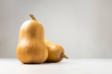 Beyaz arka planda iki olgun balkabağının yan görüntüsü