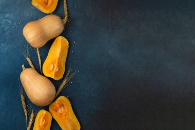 Mavi arka planda buğdaylı olgun sarı balkabakları