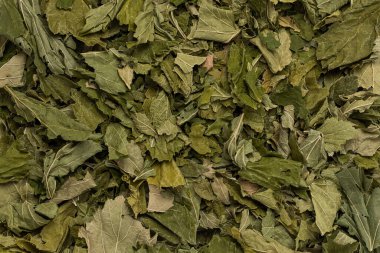 Kurutulmuş frenk üzümü sağlam bir iz bırakır