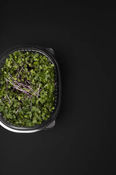 Frisches Grünes Mikrogemüse Einer Plastikbox Auf Schwarzem Hintergrund — Stockfoto
