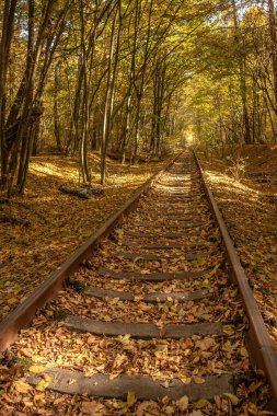 Sonbahar demiryolu. Trenle yolculuk. Raylar mesafeye gidiyor. Uyku perileri ve raylar. Bakış açısında paralel doğrular. Tren yolu boyunca yürü. Avrupa 'da turizm. Temiz hava. Renkli yaprak düşüyor.