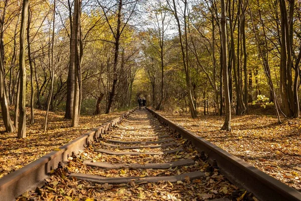 Ferrovia Outono Viajando Trem Carris Vão Para Distância Dorminhocas Carris — Fotografia de Stock