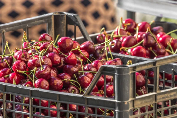 Red Fruits Cherries Ripe Food Market Fresh Harvest Rural Theme — Stock Photo, Image