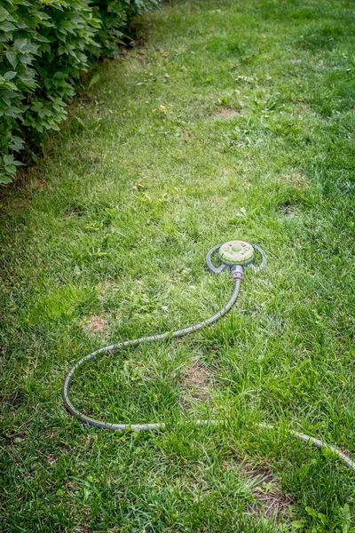 Device for convenient watering of grass on the lawn. Irrigation system. Green grass. Well-kept lawn. Back yard. Country life. Water splashes.