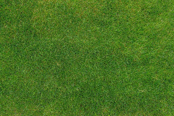 Background made of green grass. Football field. Grass texture. Green lawn. Natural background.