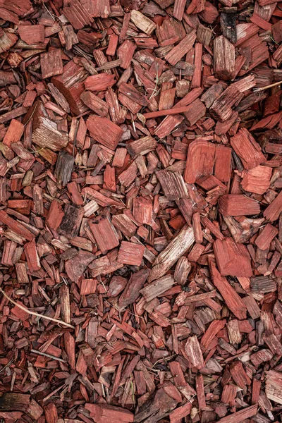 Red Mulch Decorative Element Landscape Design Protection Soil Drying Out — Photo