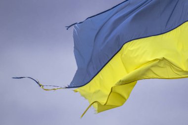 The shabby flag of Ukraine as a symbol of the nation's struggle and courage. Mutilated Ukrainian flag. Strength testing. Brave Ukraine. War in Ukraine. De-occupied territories. Russia is a sponsor of terrorism. The struggle for state independence.