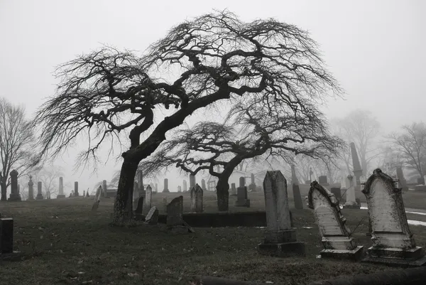 Spooky mezarlık sahnesi