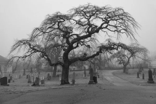 Spettrale scena del cimitero — Foto Stock