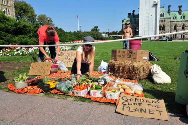 Occupy protest anniversary in Ottawa — Stock Photo, Image