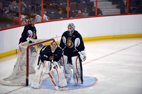 Ottawa Senators begin training camp after lockout ends — Stock Photo, Image