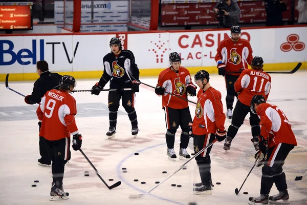 Les Sénateurs d'Ottawa commencent leur camp d'entraînement après le lock-out — Photo