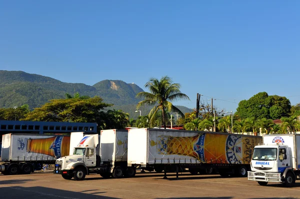 Brugal rum trucks in der dominikanischen republik — Stockfoto