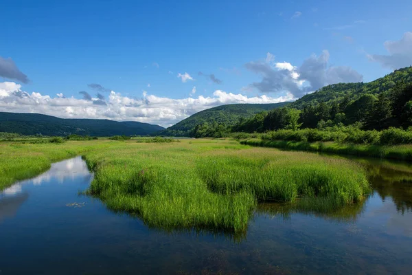 Scena Umida Sul Cabot Trail Panoramico Fama Mondiale Capo Bretone — Foto Stock