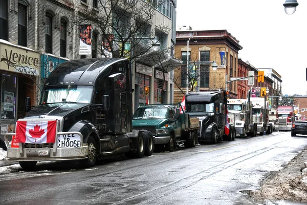 Ottawa Canadá Febrero 2022 Una Fila Camiones Cada Lado Albert — Foto de Stock