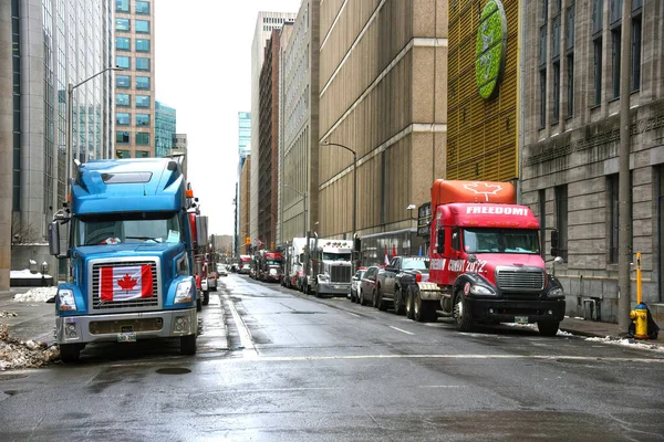 2022年2月10日カナダ オタワのダウンタウンにあるアルバート ストリートの両側にトラックの列 トラック輸送隊はパンデミック関連の指令に抗議しており 地元住民や事業者に悲しみを与えている — ストック写真