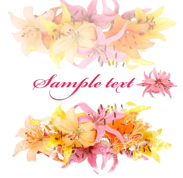 Sanfte Softkarte mit Lilie auf weißem Hintergrund — Stockfoto
