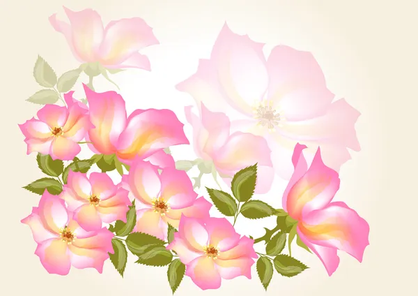 Blume Vektor Hintergrund mit wilder Rose — Stockvektor