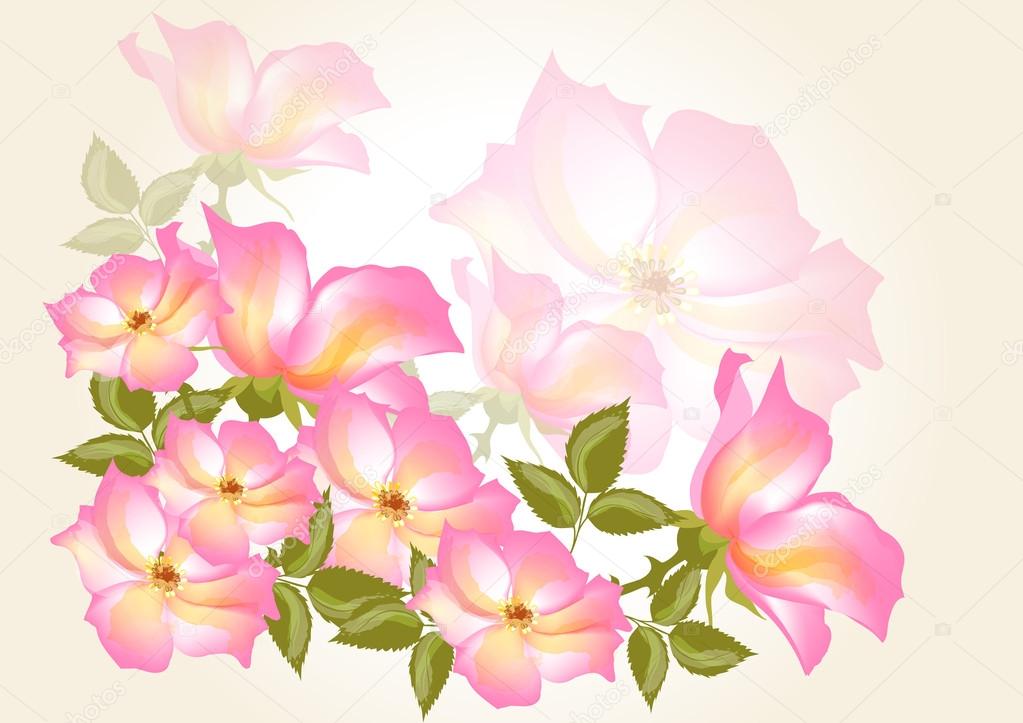 Flower vector background with wild rose
