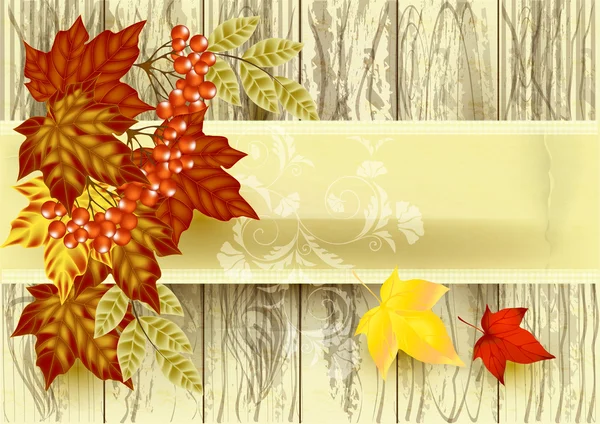 Banner con textura de árbol vectorial, papel viejo y hojas de otoño — Vector de stock