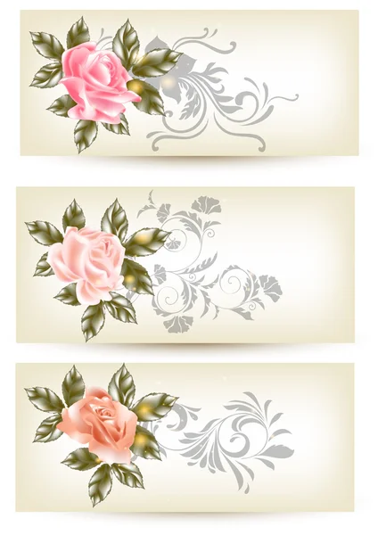 Cards template with roses — Stock Vector