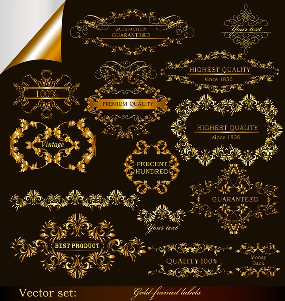 Collection of vector gold-framed labels premium and best quality — Stock Vector