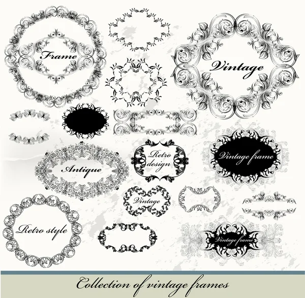Collection of calligraphic vintage vector frames — Stock Vector