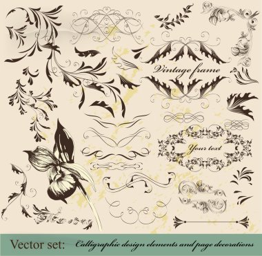 Kaligrafi vintage tasarım öğeleri