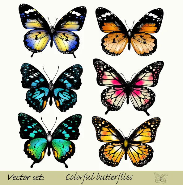 ベクトル カラフルな現実的な蝶のコレクション — ストックベクタ