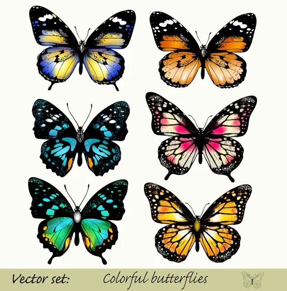 Collection de papillons vectoriels réalistes colorés Vecteurs De Stock Libres De Droits